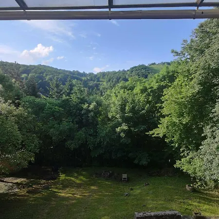 Vadrózsa *