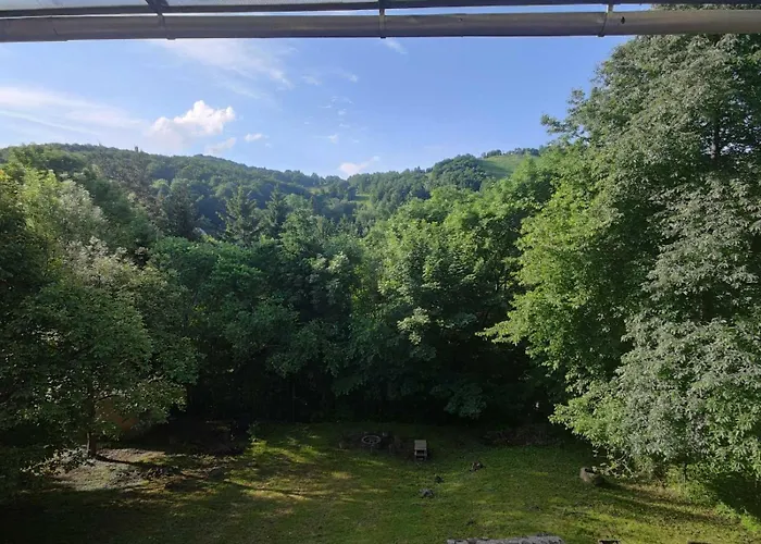 Vadrozsa Vendeghaz *